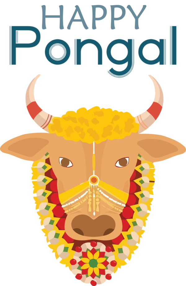 Transparent Pongal Gyr cattle Holstein Friesian cattle Ox for Thai Pongal for Pongal
