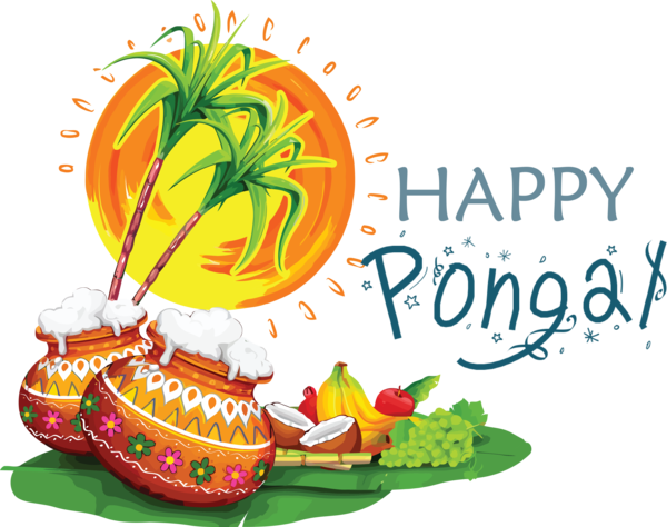 Transparent Pongal Pongal Pongal Festival for Thai Pongal for Pongal
