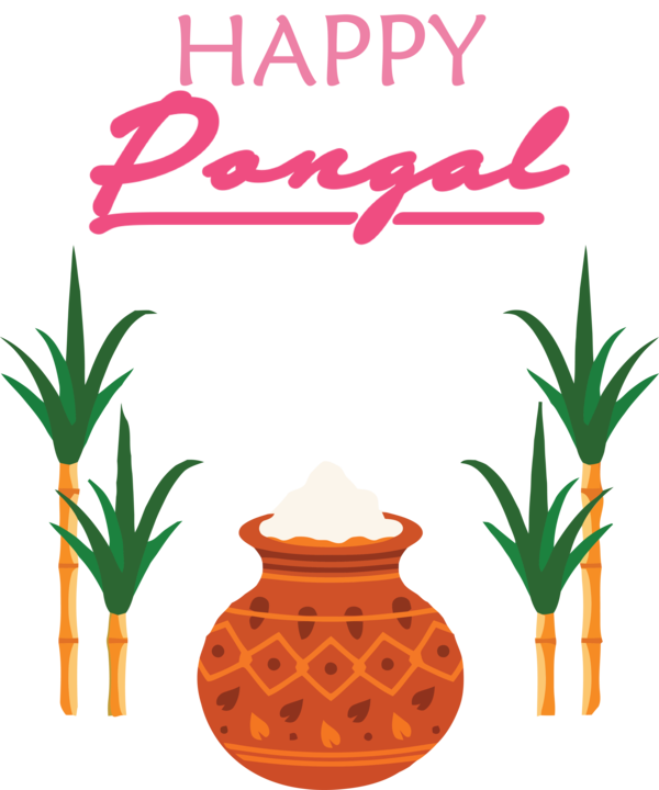 Transparent Pongal Pongal Palm trees Date palm for Thai Pongal for Pongal