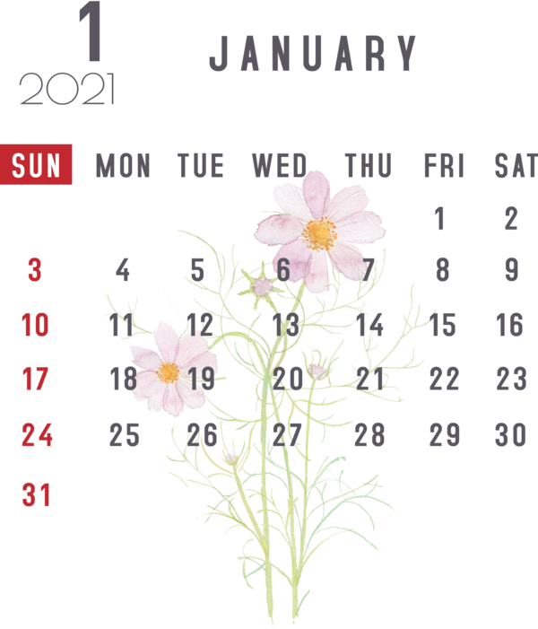 Transparent New Year Cut flowers Nexus S Floral design for Printable 2021 Calendar for New Year