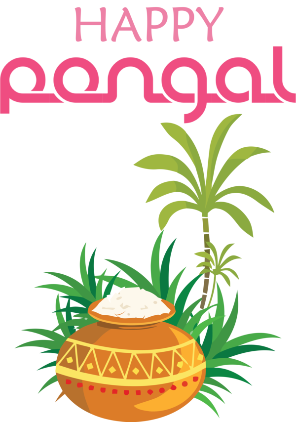 Transparent Pongal Pongal Festival Transparency for Thai Pongal for Pongal