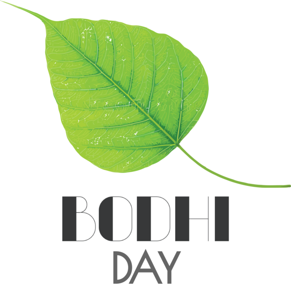 Transparent Bodhi Day Leaf Plant stem Green for Bodhi for Bodhi Day
