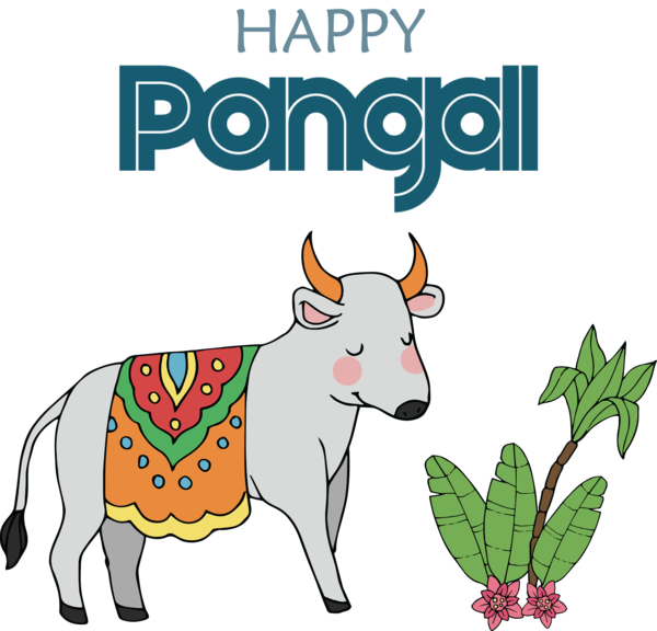 Transparent Pongal Dairy cattle  Goat for Thai Pongal for Pongal