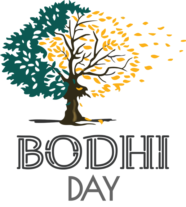 Transparent Bodhi Day Tree Bodhi tree Bodhgaya Bihar Woody plant for Bodhi for Bodhi Day