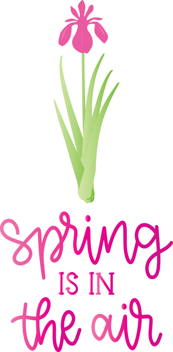 Transparent Easter Cut flowers Logo Plant stem for Hello Spring for Easter
