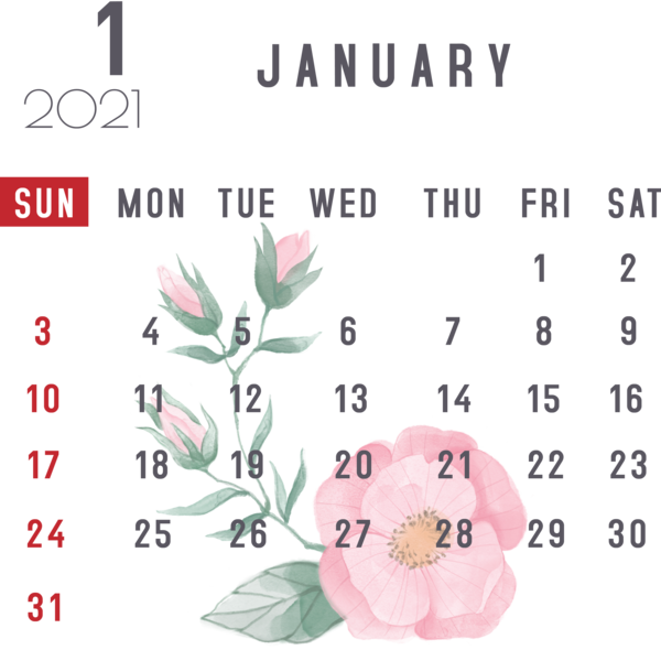 Transparent New Year Floral design Petal Design for Printable 2021 Calendar for New Year