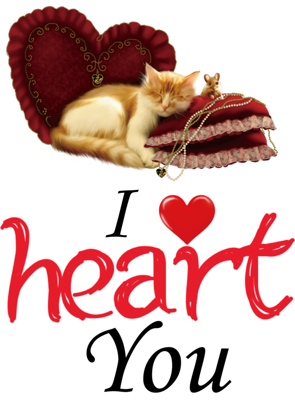 Transparent Valentine's Day Cat  Text for Valentines Day Quotes for Valentines Day