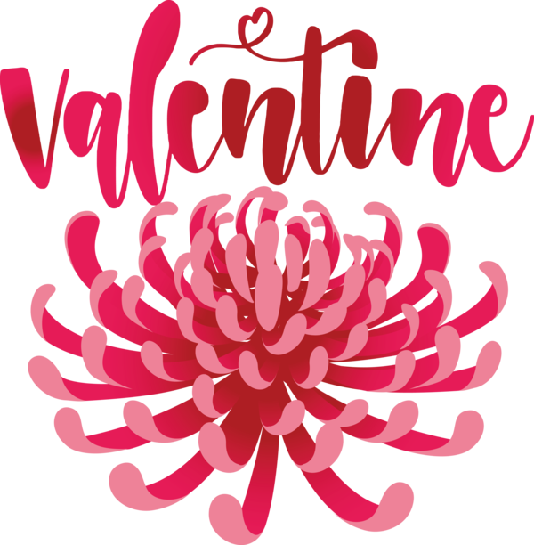 Transparent Valentine's Day Floral design Rose Flower for Valentines for Valentines Day