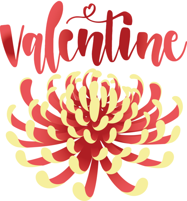 Transparent Valentine's Day Floral design Petal Flower for Valentines for Valentines Day