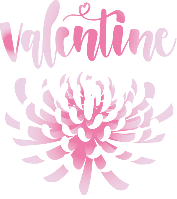 Transparent Valentine's Day Chrysanthemum Dahlia Petal for Valentines for Valentines Day