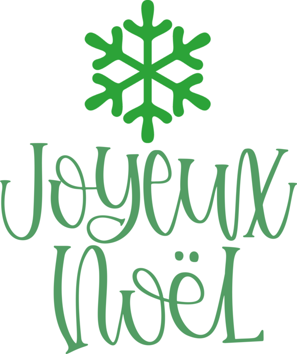 Transparent Christmas Leaf Plant stem Logo for Noel for Christmas