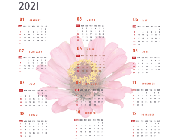 Transparent New Year Petal Flower Meter for Printable 2021 Calendar for New Year