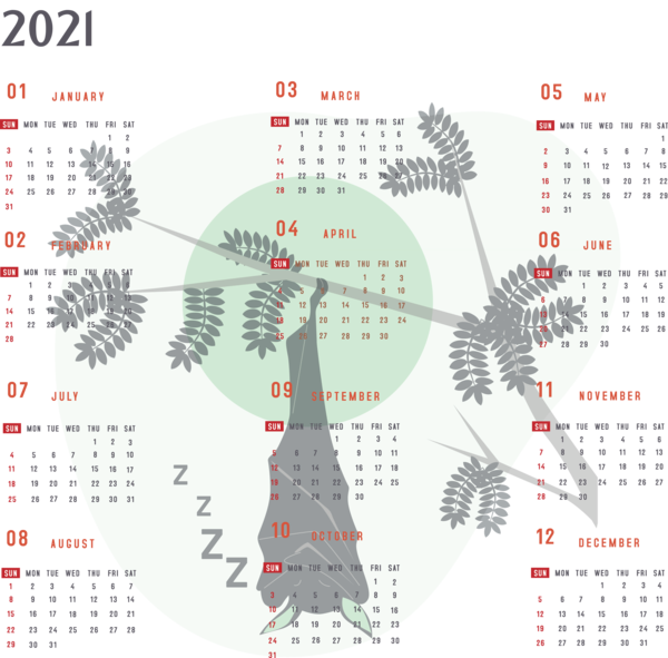 Transparent New Year Bats Drawing Cartoon for Printable 2021 Calendar for New Year