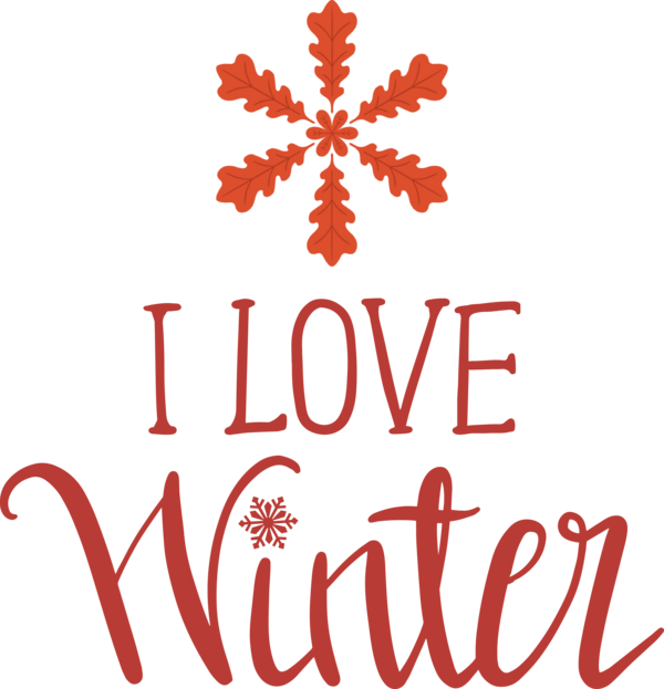 Transparent Christmas Flower Logo Meter for Hello Winter for Christmas