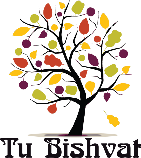 Transparent Tu Bishvat Drawing Silhouette Tree for Tu Bishvat Tree for Tu Bishvat