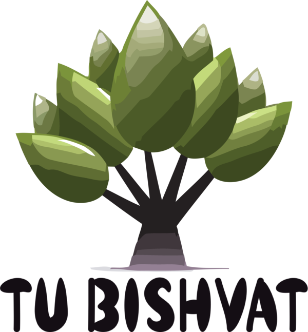 Transparent Tu Bishvat Leaf Tree Palm trees for Tu Bishvat Tree for Tu Bishvat