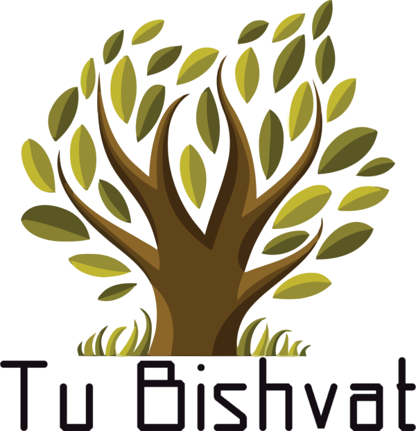 Transparent Tu Bishvat Symbol Drawing Royalty-free for Tu Bishvat Tree for Tu Bishvat