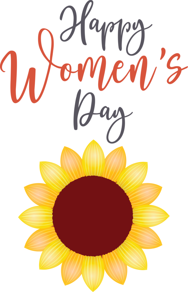 Transparent International Women's Day Cut flowers Daisy family Sunflower seed for Women's Day for International Womens Day