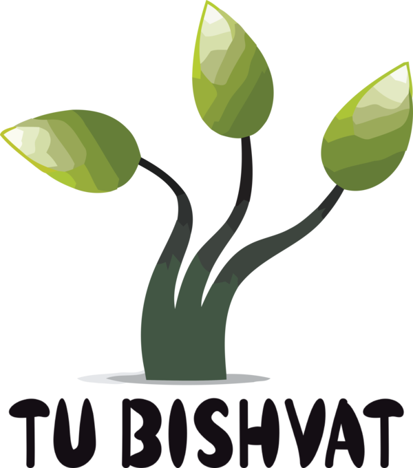 Transparent Tu Bishvat Leaf Plant stem Logo for Tu Bishvat Tree for Tu Bishvat