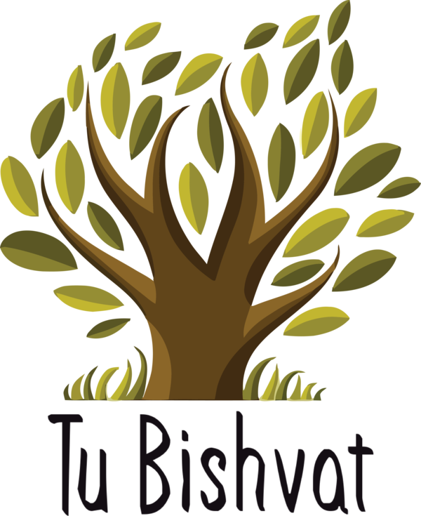 Transparent Tu Bishvat Symbol Drawing Concept for Tu Bishvat Tree for Tu Bishvat