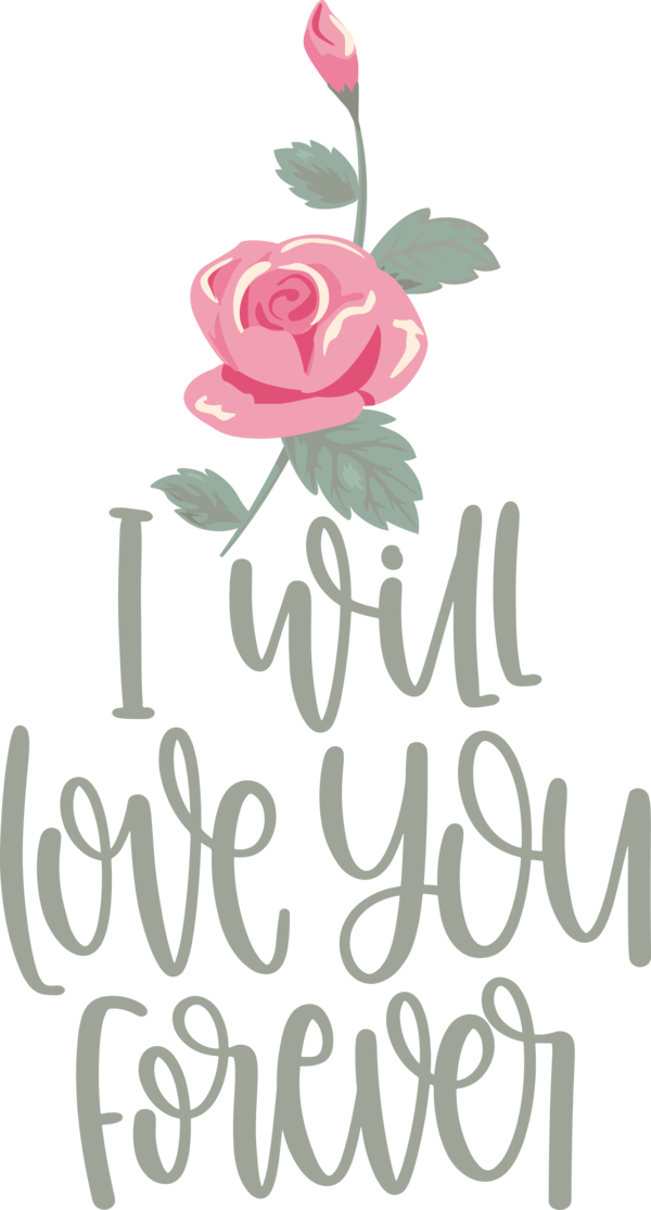 Transparent Valentine's Day Floral design Design CatScat for Valentines Day Quotes for Valentines Day