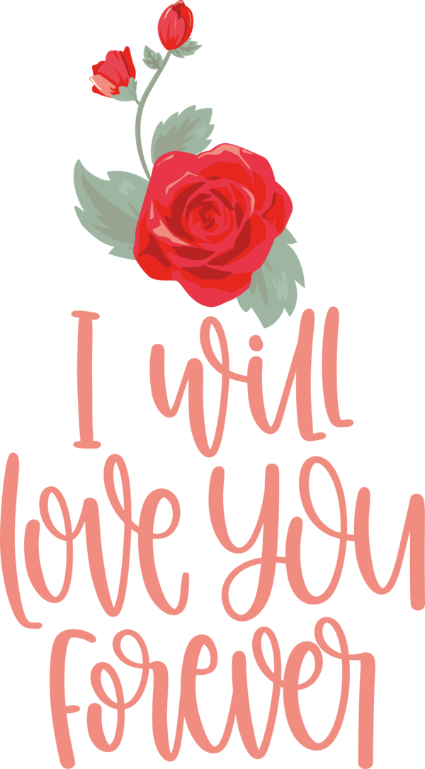Transparent Valentine's Day Garden roses Rose Floral design for Valentines Day Quotes for Valentines Day