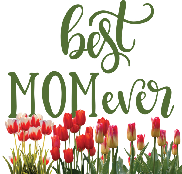 Transparent Mother's Day Floral design Tulip Cut flowers for Happy Mother's Day for Mothers Day