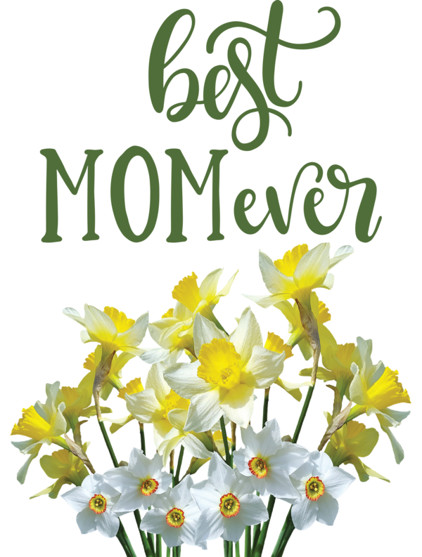 Transparent Mother's Day Wild daffodil Flower Floral design for Happy Mother's Day for Mothers Day