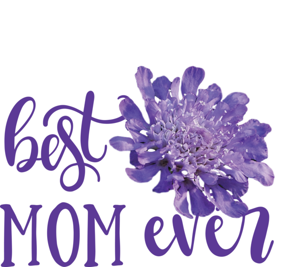 Transparent Mother's Day Mother's Day Cut flowers Father's Day for Happy Mother's Day for Mothers Day