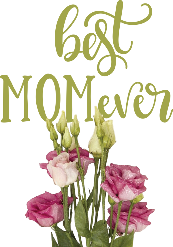 Transparent Mother's Day Flower Cut flowers Mother's Day for Happy Mother's Day for Mothers Day