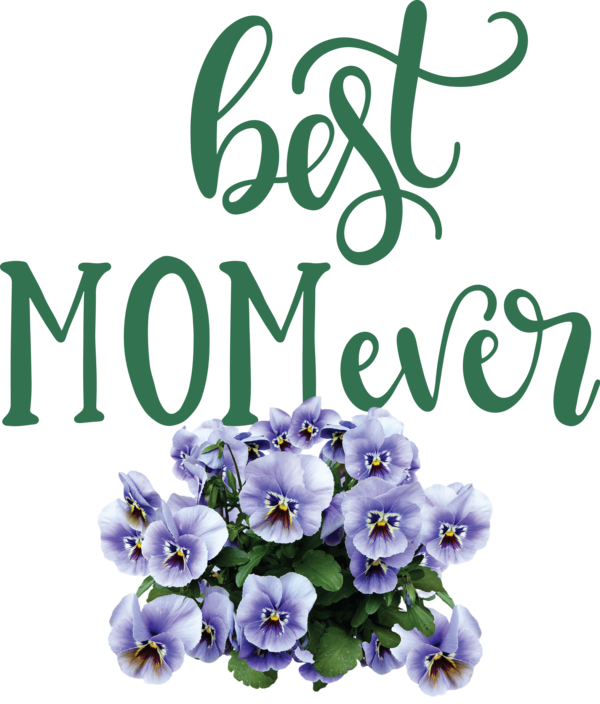 Transparent Mother's Day Pansy Flower Design for Happy Mother's Day for Mothers Day