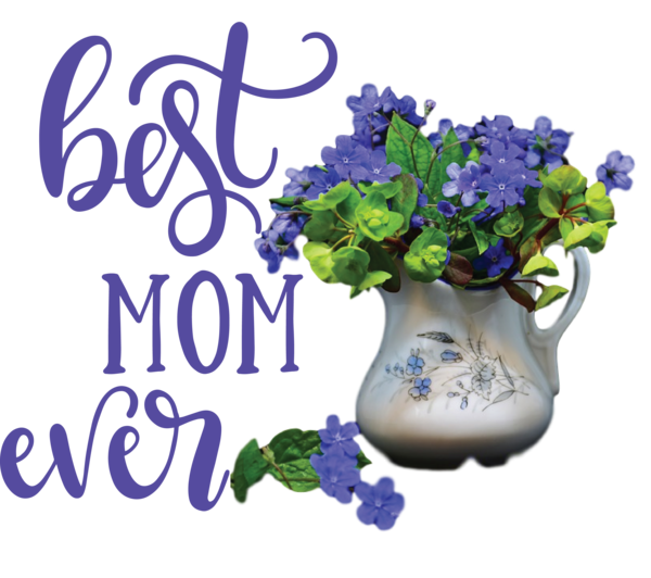Transparent Mother's Day Floral design Mother's Day Cut flowers for Happy Mother's Day for Mothers Day