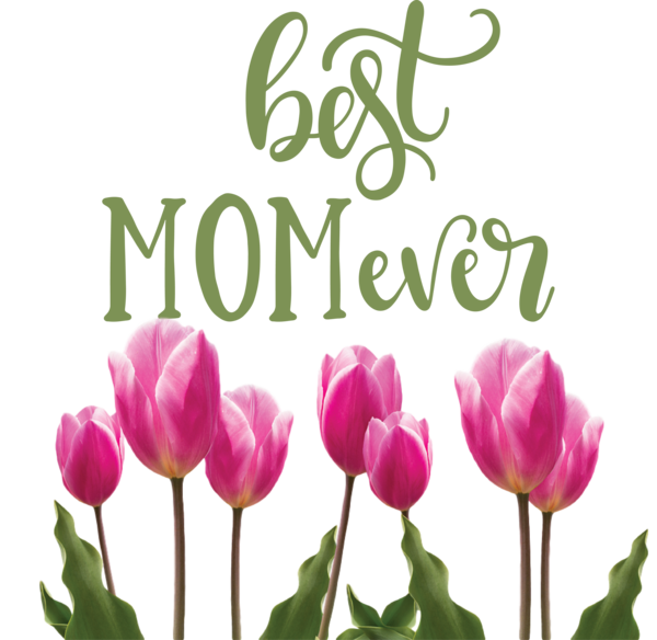 Transparent Mother's Day Wall decal Sticker Design for Happy Mother's Day for Mothers Day
