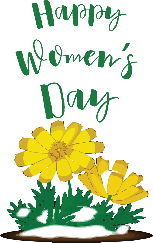 Transparent International Women's Day International Women's Day  2017 Women's March for Women's Day for International Womens Day