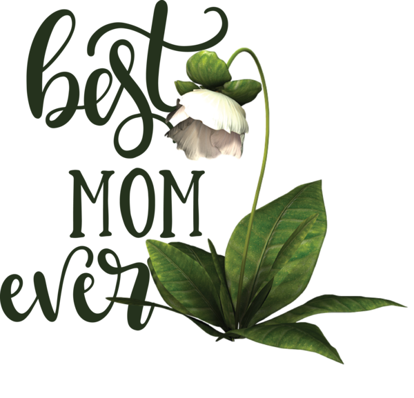 Transparent Mother's Day Drawing Flower Design for Happy Mother's Day for Mothers Day