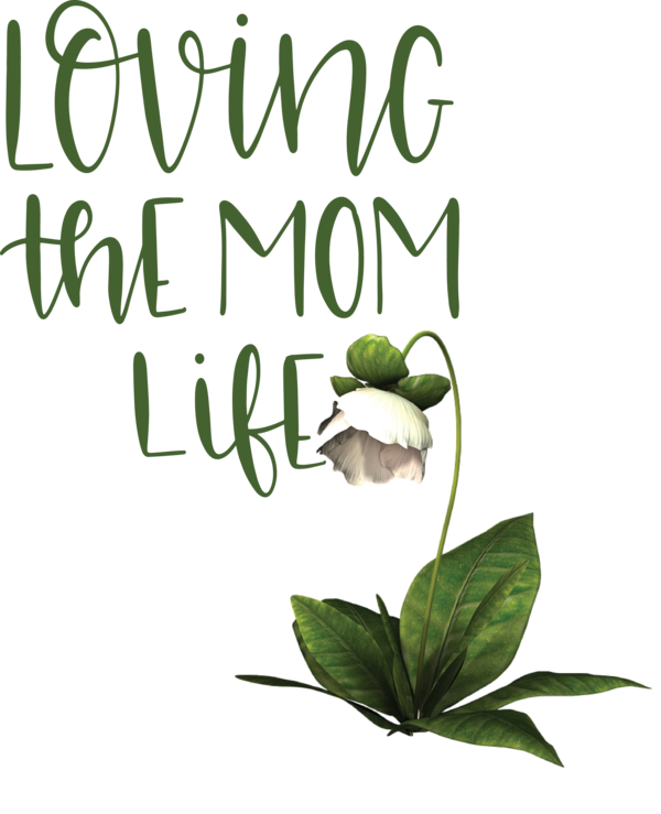 Transparent Mother's Day Herbal medicine Leaf Floral design for Love You Mom for Mothers Day