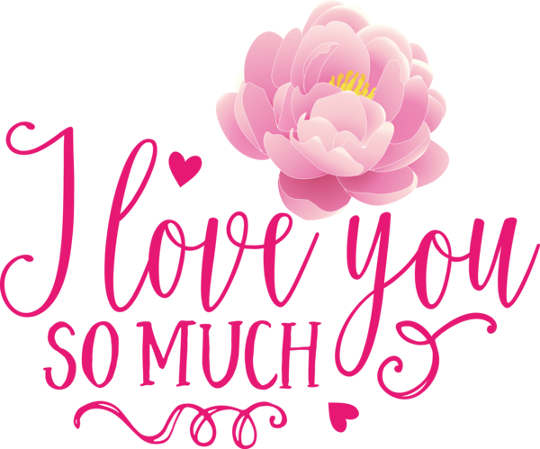 Transparent Valentine's Day Floral design Cut flowers Petal for Valentines Day Quotes for Valentines Day