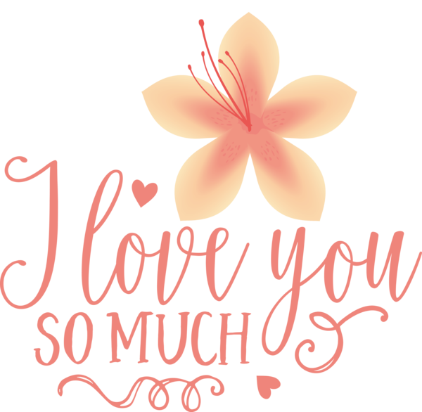 Transparent Valentine's Day Cut flowers Floral design Petal for Valentines Day Quotes for Valentines Day