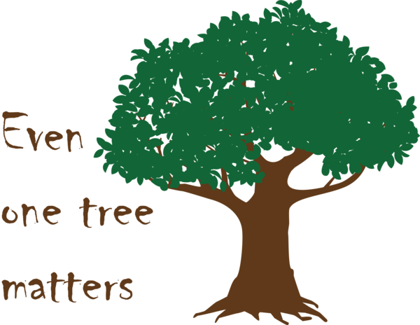Transparent Arbor Day learning for Happy Arbor Day for Arbor Day