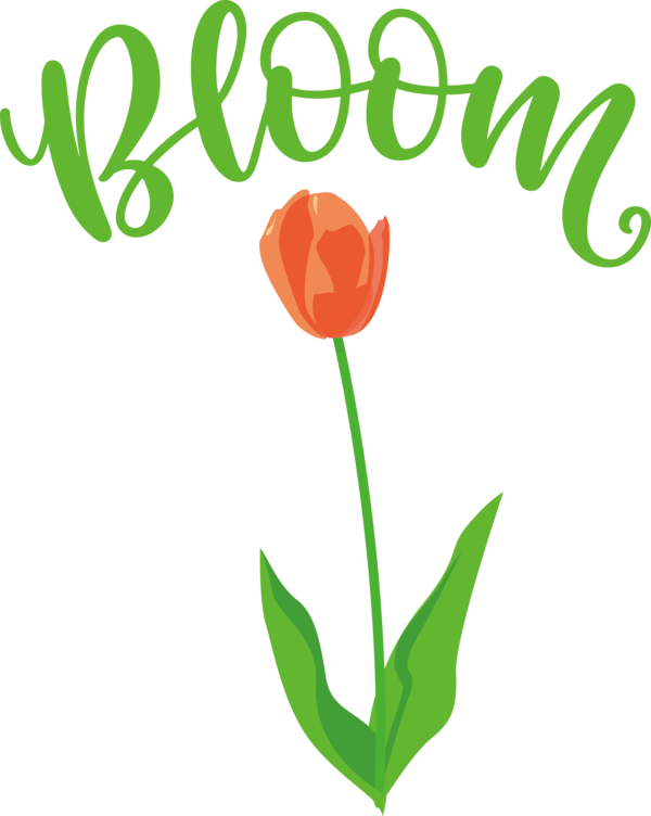 Transparent Easter Flower Lily Fleur-de-lis for Hello Spring for Easter