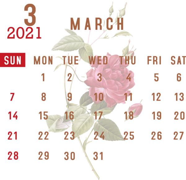 Transparent New Year Cut flowers Floral design Petal for Printable 2021 Calendar for New Year