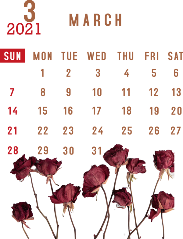 Transparent New Year Aztec sun stone January calendar! Calendar System for Printable 2021 Calendar for New Year