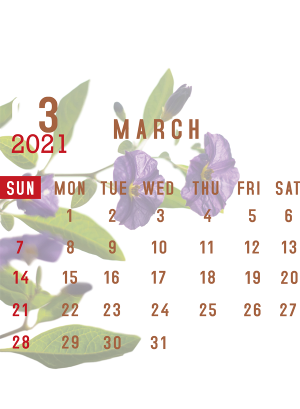 Transparent New Year Font Line for Printable 2021 Calendar for New Year