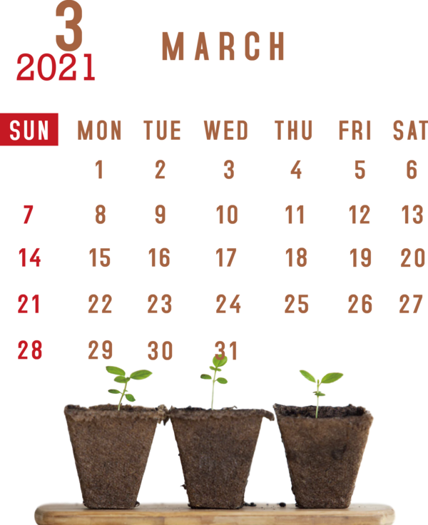 Transparent New Year Font Hay Flowerpot with Saucer Finch & Barley for Printable 2021 Calendar for New Year