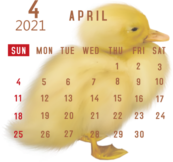 Transparent New Year Duck Birds Water bird for Printable 2021 Calendar for New Year