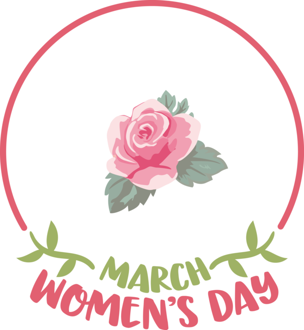 Transparent International Women's Day Floral design Garden roses Cut flowers for Women's Day for International Womens Day