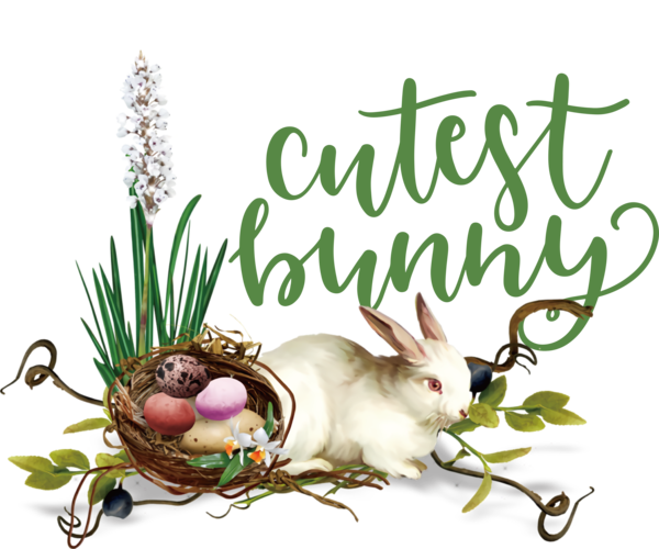 Transparent easter Easter Bunny Easter egg Hare for Easter Bunny for Easter
