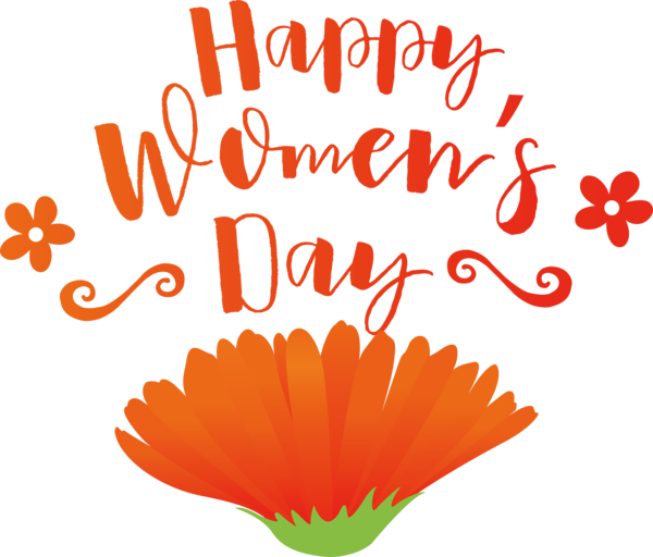 Transparent International Women's Day Cut flowers Flower Petal for Women's Day for International Womens Day