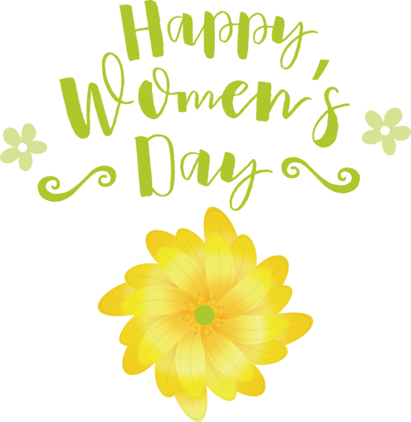 Transparent International Women's Day Floral design Flower Chrysanthemum for Women's Day for International Womens Day
