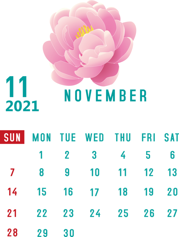 Transparent New Year Cut flowers Floral design Flower for Printable 2021 Calendar for New Year